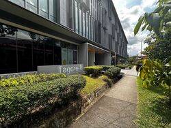 Tagore 8 (D26), Factory #571836551